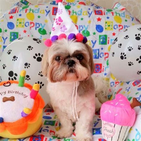 Pin by Helen A. Berger on ♫ Happy Birthday to You ♫ Happy birthday