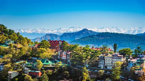 Shimla Local Guide
