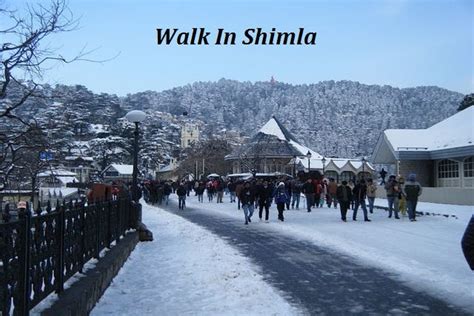 Shimla walk pace