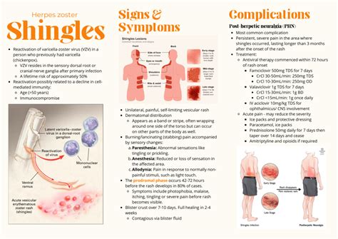 Shingles Quizlet Resources