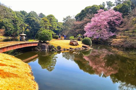 Shinjuku Gyoen