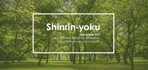 Shinrin Yoku experience