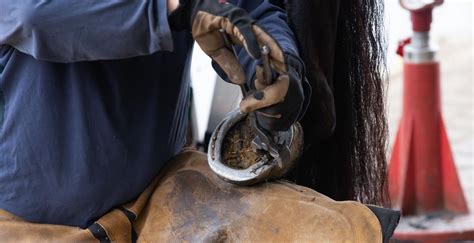 Shoe Repair Emergency Service - Image