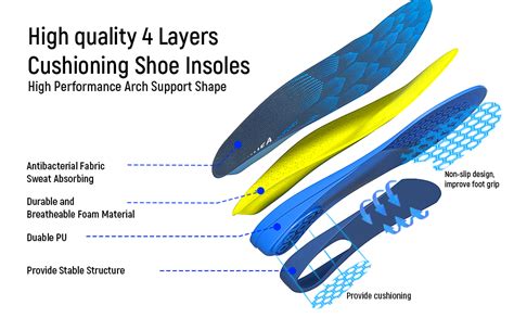Shoe Structure: Support and Cushioning