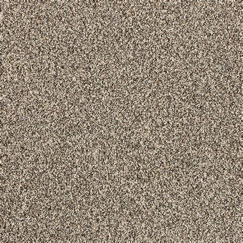 Shop Home Depot Carpet
