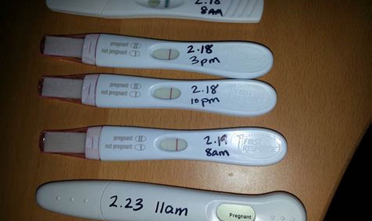 Short Light Period Negative Pregnancy Test