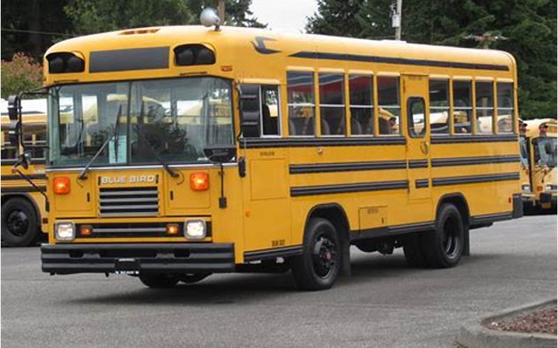 Short School Buses