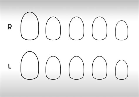 Short Almond Nail Template