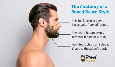 Short Boxed Beard Trim