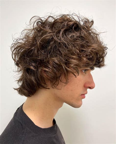 Short Styles for Frizzy Hair Male