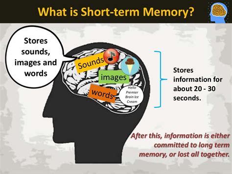 Short Term Memory Adalah