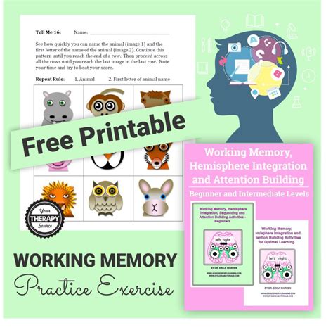 Short Term Memory Working Memory Worksheets
