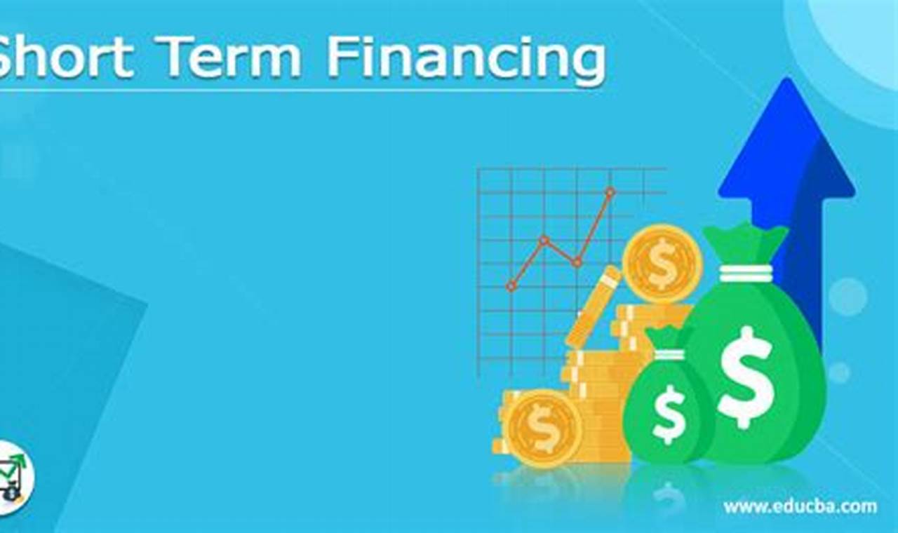Short-term loans for temporary financial needs