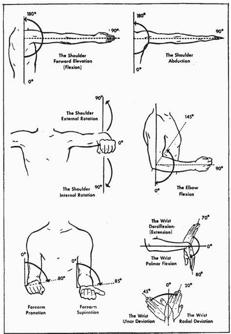 Shoulder Range Of Motion Chart