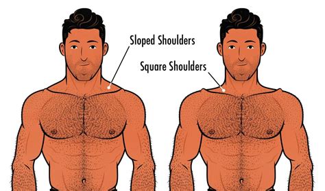 Shoulders