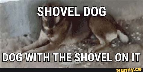 Shovel Dog Meme