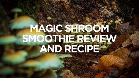 Shroom Smoothie Recipe