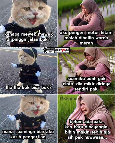 Si Kucing Meme: Ngakak! Lucunya!