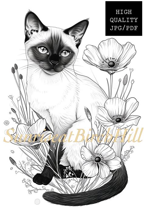 Siamese Cat Coloring Page
