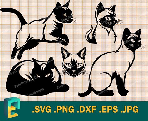 Master the Art of Decorative Design with Siamese Cat SVG - Embrace Your Feline-Friendly Flair!