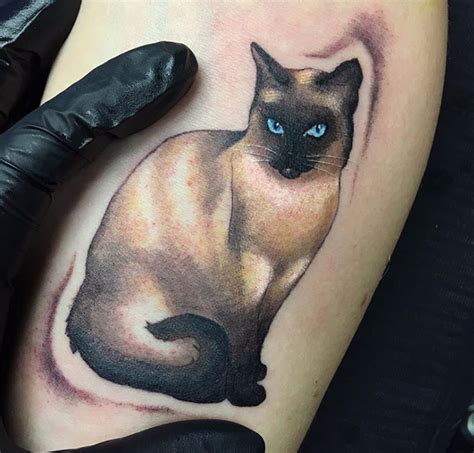 Pin by Vane Reinoso on Tattoo Siamese cat tattoos