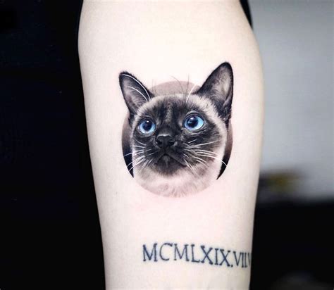 Siamese Cat Tattoo