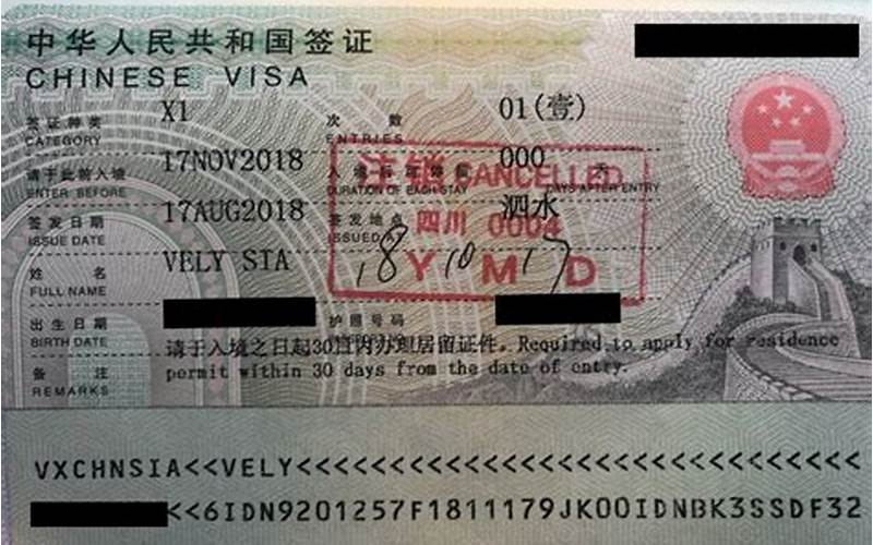 Siapa Yang Dapat Mengajukan Visa China Dengan Form Visa China Online?