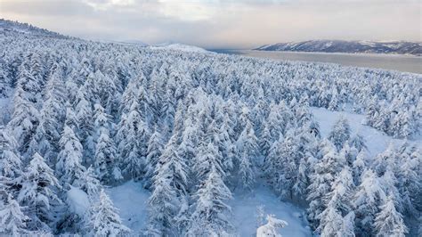Siberia