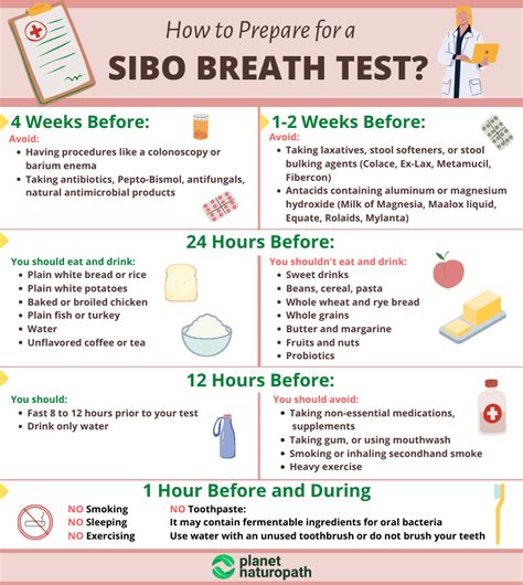 Sibo Breath Test Diet