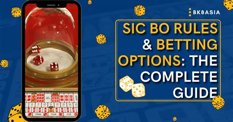 Sic Bo Rules & Betting Options The Complete Guide BK8Asia