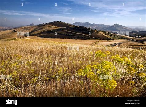 Sicilian Countryside