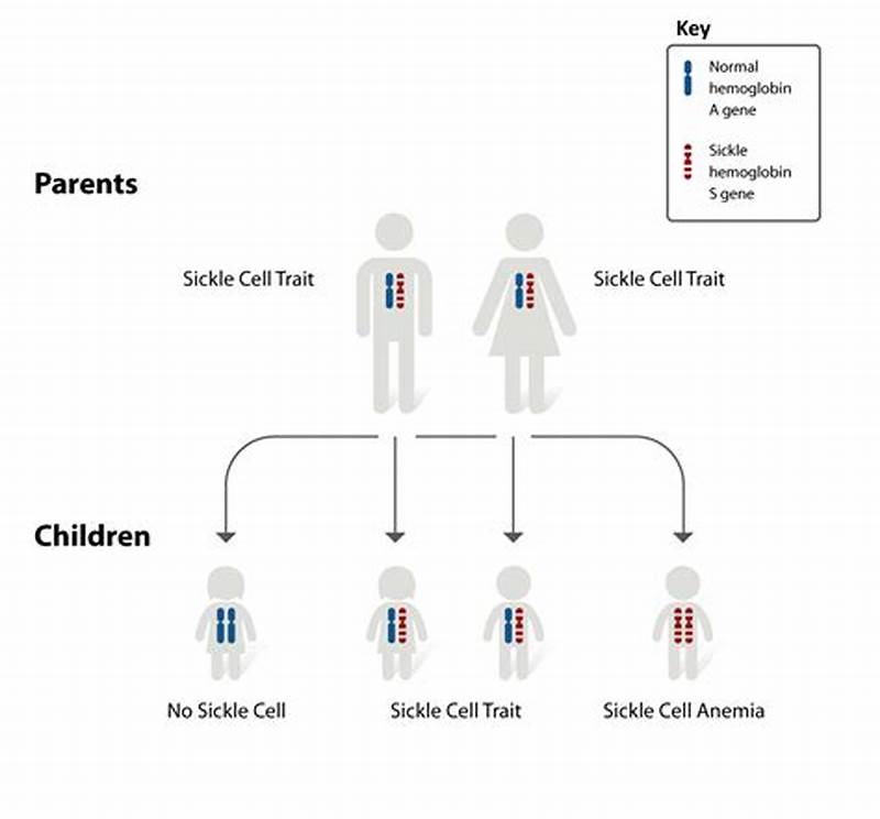 Sickle Cell Inheritance Pattern