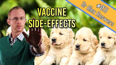 Exploring the Unexpected Side Effects of Dog Vaccinations: A Comprehensive Guide