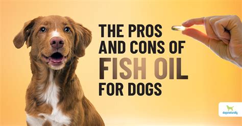 Side Effects of Giving Fish Oil to Dogs