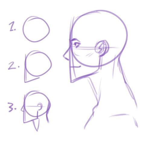 Side Profile Drawing Anatomy