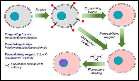 Sideloading and caveats