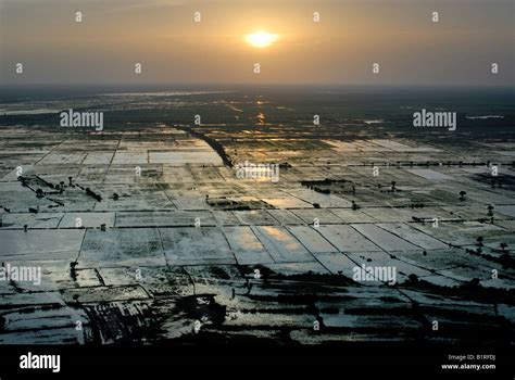 Siem Reap sunset over rice fields
