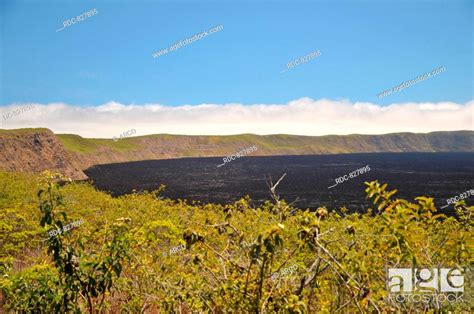 Sierra Negra Volcano Hike: Isabela Day Tour Review