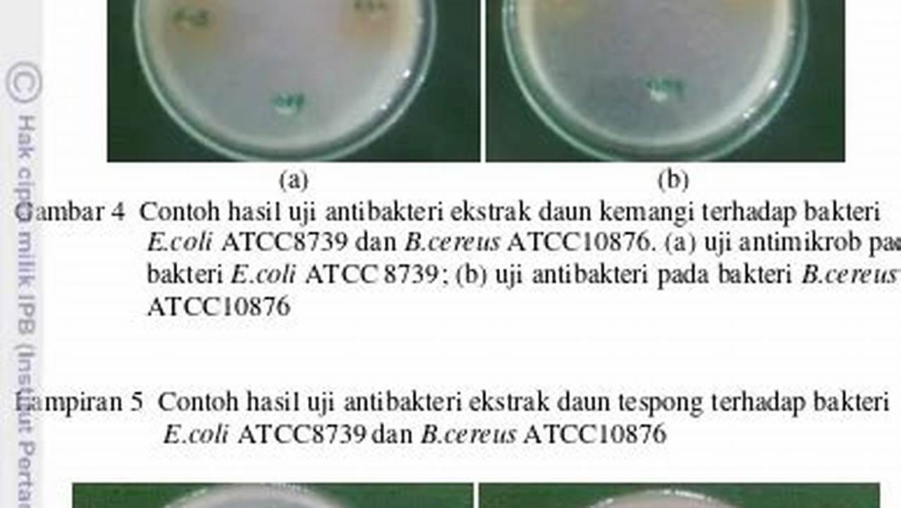 Sifat Antibakteri, Resep7-10k