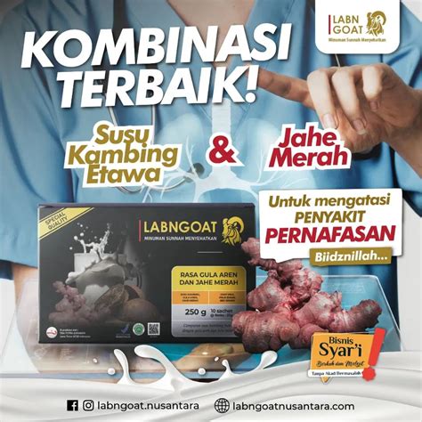 Sifat Anti-Peradangan