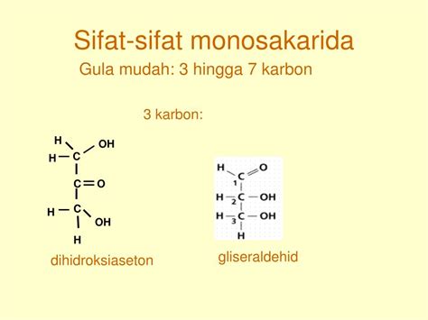 Sifat-Sifat Monosakarida: Apa yang Perlu Anda Ketahui?