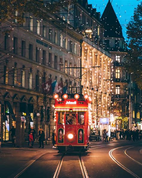 Sightseeing Transport Options