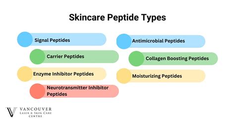 Reclaim Your Youthful Glow with Signal Peptides for Skin: The Secret Solution to Radiant and Supple Complexion!