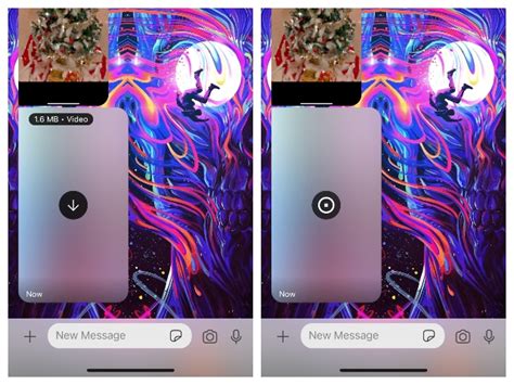 Signal v5.3 Features