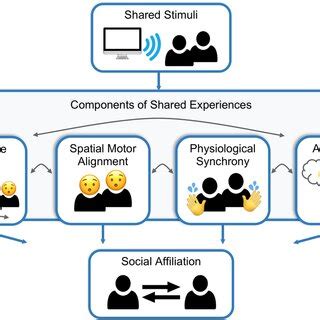 Significance Of Shared Experiences