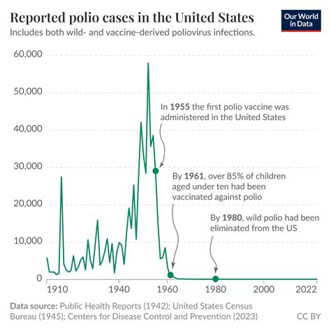 Significant Reductions: How Polio Cases Per Year Have Changed