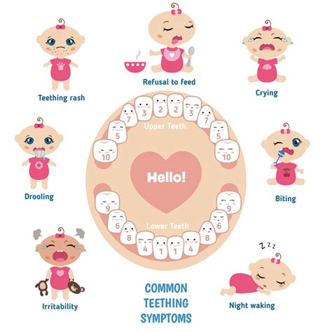Early Pearly Whites: Uncovering the Subtle Signs of Teething in 2-Month-Olds