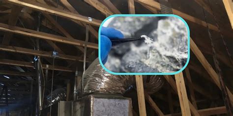 Signs You Might Have Asbestos Inside Ductwork