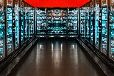 Signs You Need Commercial Refrigerator Repair