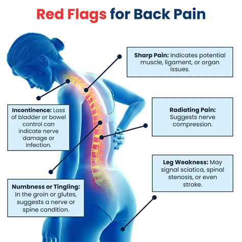 Signs Your Back is in Trouble